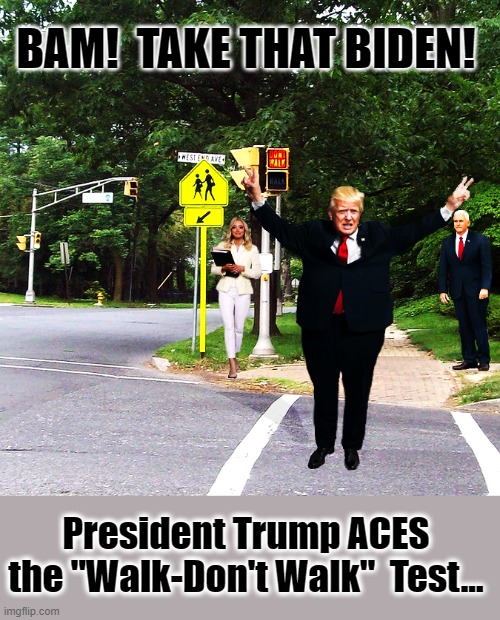 He's an UNSTOPABLE genius !!! | BAM!  TAKE THAT BIDEN! President Trump ACES the "Walk-Don't Walk"  Test... | image tagged in trump is a moron,donald trump is an idiot,stupid,stable genius | made w/ Imgflip meme maker