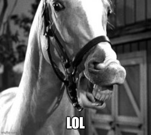 Mr Ed | LOL | image tagged in mr ed | made w/ Imgflip meme maker