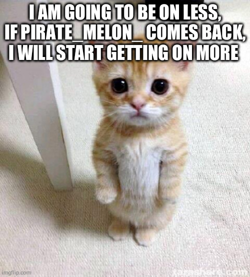 Cute Cat Meme | I AM GOING TO BE ON LESS, IF PIRATE_MELON_ COMES BACK, I WILL START GETTING ON MORE | image tagged in memes,cute cat | made w/ Imgflip meme maker
