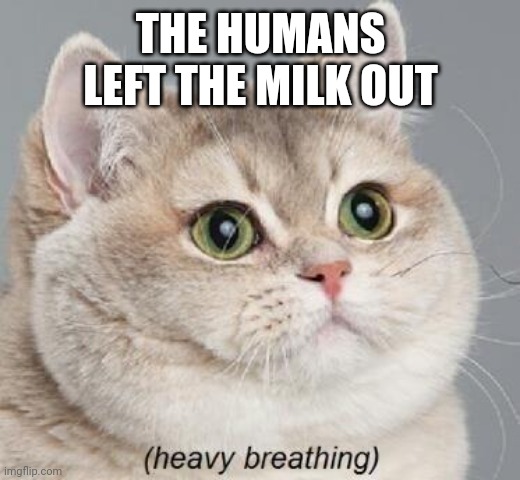 Heavy Breathing Cat | THE HUMANS LEFT THE MILK OUT | image tagged in memes,heavy breathing cat | made w/ Imgflip meme maker