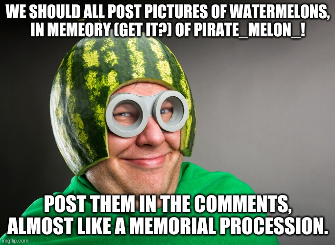 I will miss Pirate_Melon_, she might not have known me well, but I feel like we were friends. I need to do this for her. | WE SHOULD ALL POST PICTURES OF WATERMELONS, IN MEMEORY (GET IT?) OF PIRATE_MELON_! POST THEM IN THE COMMENTS, ALMOST LIKE A MEMORIAL PROCESSION. | image tagged in melon head | made w/ Imgflip meme maker