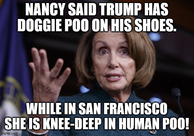 Nancy the Poo | NANCY SAID TRUMP HAS DOGGIE POO ON HIS SHOES. WHILE IN SAN FRANCISCO SHE IS KNEE-DEEP IN HUMAN POO! | image tagged in dog poop,nancy pelosi | made w/ Imgflip meme maker