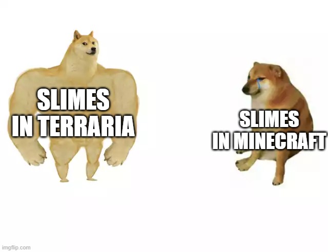 Buff Doge vs. Cheems Meme | SLIMES IN TERRARIA; SLIMES IN MINECRAFT | image tagged in buff doge vs cheems,terraria,minecraft,slimes | made w/ Imgflip meme maker