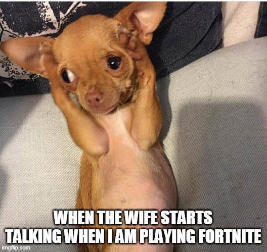 When the wife starts talking when I am playing Fortnite | WHEN THE WIFE STARTS TALKING WHEN I AM PLAYING FORTNITE | image tagged in dog covers ears,funny,fortnite,nagging wife | made w/ Imgflip meme maker