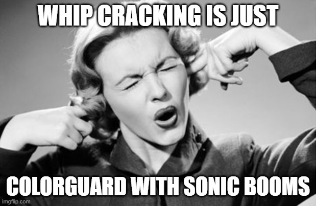 If I ignore the truth it will go away | WHIP CRACKING IS JUST; COLORGUARD WITH SONIC BOOMS | image tagged in if i ignore the truth it will go away,whips | made w/ Imgflip meme maker
