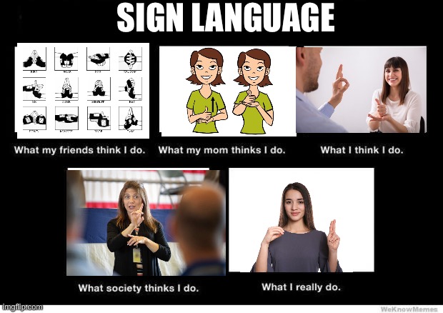 Sign language is not naruto signs oKAY | SIGN LANGUAGE | image tagged in what they think i do | made w/ Imgflip meme maker