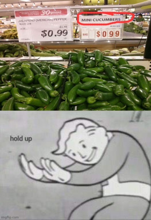 Hold up | image tagged in fallout hold up,hold up,peppers,memes,meme,you had one job | made w/ Imgflip meme maker