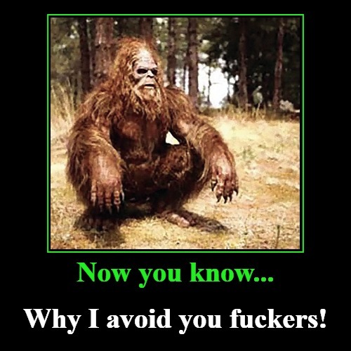 Sasquatch: Now you know... | image tagged in big foot,sasquatch,antisocial,antifa,anarchism,black lives matter | made w/ Imgflip meme maker
