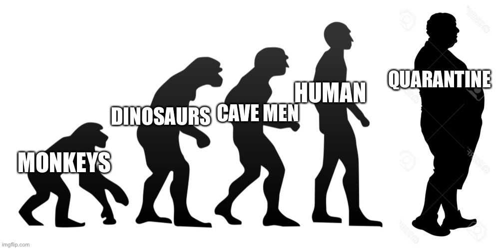 Human evolution - Imgflip