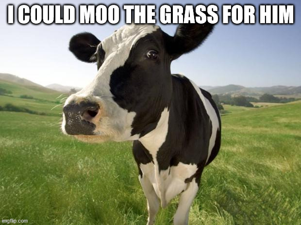 cow | I COULD MOO THE GRASS FOR HIM | image tagged in cow | made w/ Imgflip meme maker