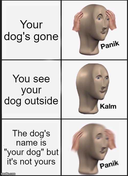 Panik Kalm Panik Meme | Your dog's gone; You see your dog outside; The dog's name is "your dog" but it's not yours | image tagged in memes,panik kalm panik | made w/ Imgflip meme maker