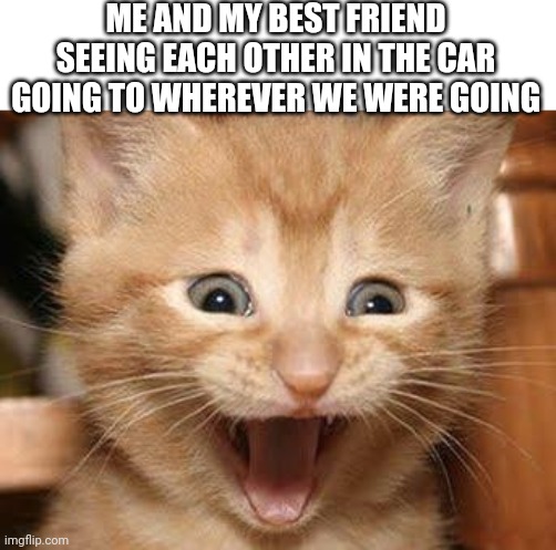 What a coincidence | ME AND MY BEST FRIEND SEEING EACH OTHER IN THE CAR GOING TO WHEREVER WE WERE GOING | image tagged in memes,excited cat | made w/ Imgflip meme maker
