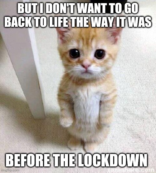 Cute Cat | BUT I DON'T WANT TO GO BACK TO LIFE THE WAY IT WAS; BEFORE THE LOCKDOWN | image tagged in memes,cute cat | made w/ Imgflip meme maker