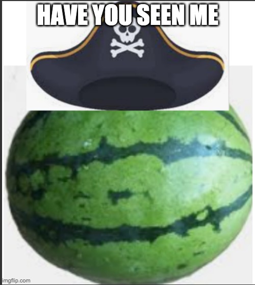 Missing memer alert | HAVE YOU SEEN ME | image tagged in pirate_melon_ | made w/ Imgflip meme maker