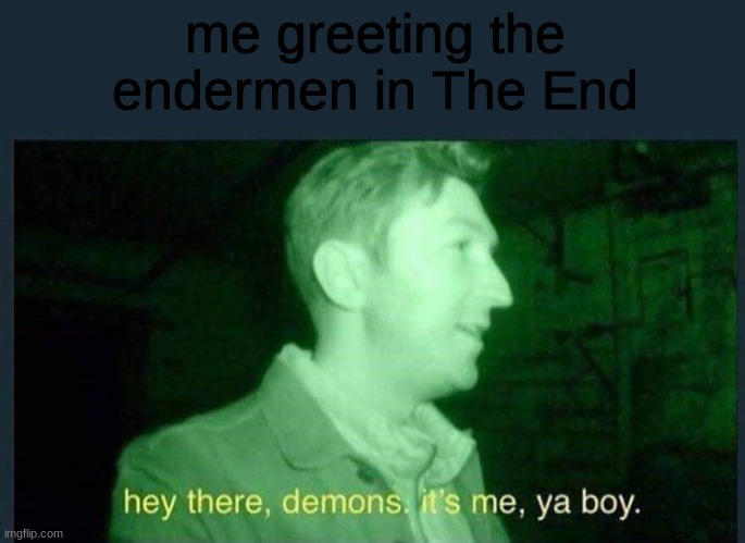 endermen |  me greeting the endermen in The End | image tagged in hey there  demons it's me  ya boy,enderman,minecraft | made w/ Imgflip meme maker