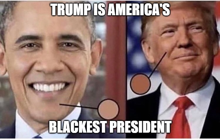 Never would have guessed | TRUMP IS AMERICA'S; BLACKEST PRESIDENT | image tagged in memes,obama,trump,funny,fun,2020 | made w/ Imgflip meme maker