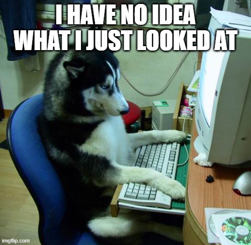 I Have No Idea What I Am Doing Meme | I HAVE NO IDEA WHAT I JUST LOOKED AT | image tagged in memes,i have no idea what i am doing | made w/ Imgflip meme maker