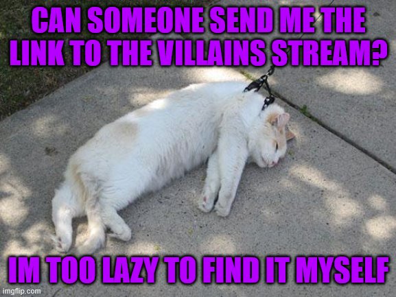 Lazy Cat | CAN SOMEONE SEND ME THE LINK TO THE VILLAINS STREAM? IM TOO LAZY TO FIND IT MYSELF | image tagged in lazy cat | made w/ Imgflip meme maker