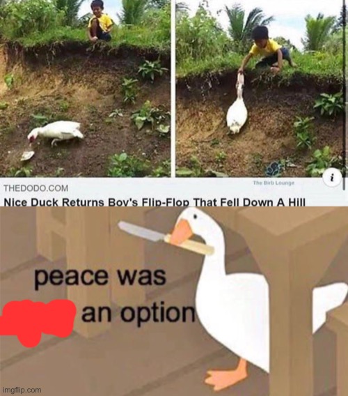 Peace was an option | image tagged in untitled goose peace was never an option | made w/ Imgflip meme maker