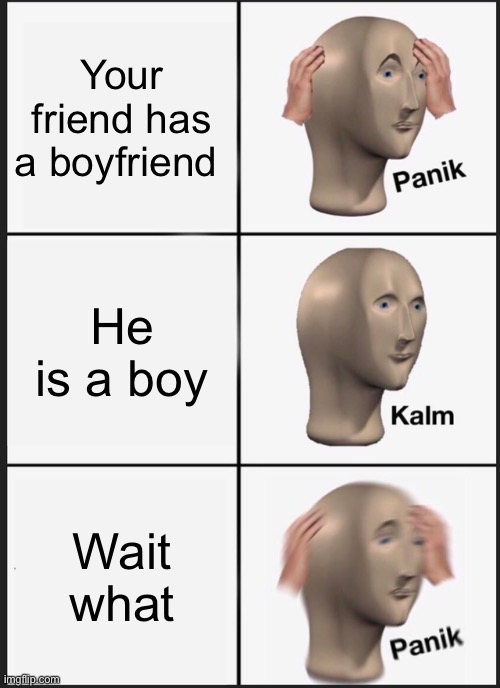 What name is this | Your friend has a boyfriend; He is a boy; Wait what | image tagged in memes,panik kalm panik | made w/ Imgflip meme maker