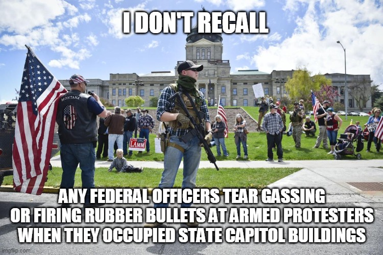 I DON'T RECALL; ANY FEDERAL OFFICERS TEAR GASSING OR FIRING RUBBER BULLETS AT ARMED PROTESTERS WHEN THEY OCCUPIED STATE CAPITOL BUILDINGS | image tagged in tyranny | made w/ Imgflip meme maker