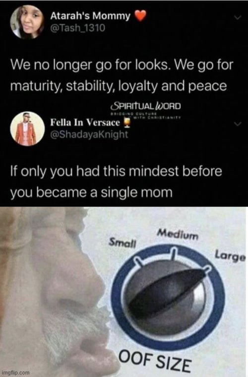 Indeed. | image tagged in oof size large,single mom,single life,social media,burns | made w/ Imgflip meme maker