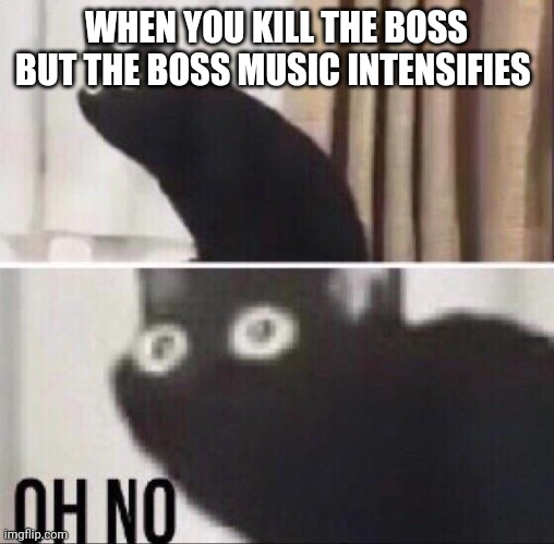 Oh no cat | WHEN YOU KILL THE BOSS BUT THE BOSS MUSIC INTENSIFIES | image tagged in oh no cat | made w/ Imgflip meme maker