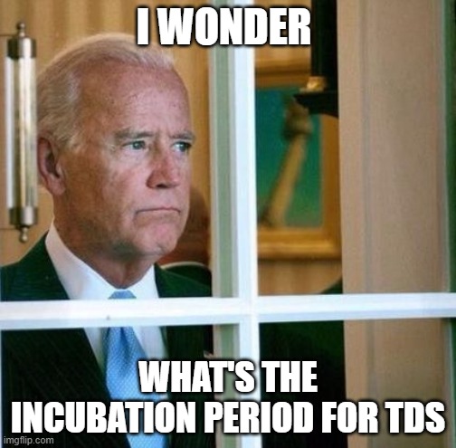 Sad Joe Biden | I WONDER; WHAT'S THE INCUBATION PERIOD FOR TDS | image tagged in sad joe biden | made w/ Imgflip meme maker
