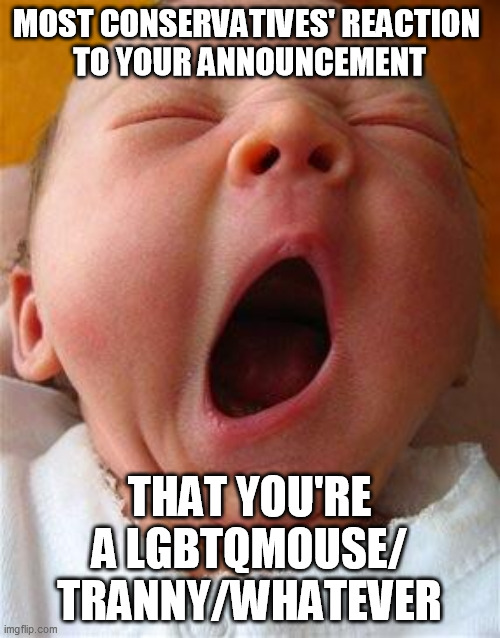 Yawn | MOST CONSERVATIVES' REACTION 
TO YOUR ANNOUNCEMENT THAT YOU'RE A LGBTQMOUSE/
TRANNY/WHATEVER | image tagged in yawn | made w/ Imgflip meme maker