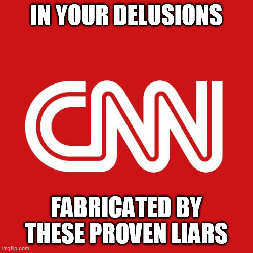 Cnn | IN YOUR DELUSIONS FABRICATED BY THESE PROVEN LIARS | image tagged in cnn | made w/ Imgflip meme maker