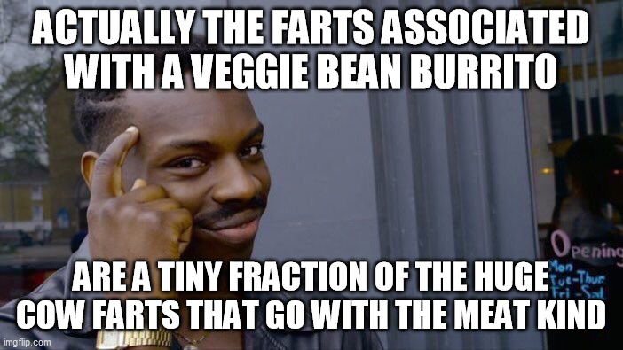 Roll Safe Think About It Meme | ACTUALLY THE FARTS ASSOCIATED WITH A VEGGIE BEAN BURRITO ARE A TINY FRACTION OF THE HUGE COW FARTS THAT GO WITH THE MEAT KIND | image tagged in memes,roll safe think about it | made w/ Imgflip meme maker