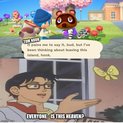 tom nook... leaving?! YAS!!! | TOM NOOK; EVERYONE:   IS THIS HEAVEN? TOM NOOK | image tagged in funny,animal crossing,meme | made w/ Imgflip meme maker