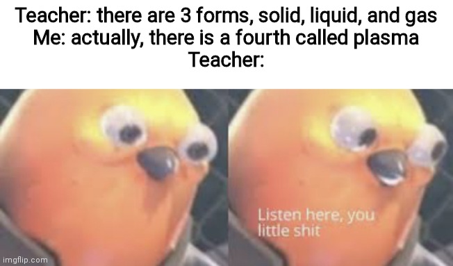 Listen here you little shit bird | Teacher: there are 3 forms, solid, liquid, and gas
Me: actually, there is a fourth called plasma
Teacher: | image tagged in listen here you little shit bird | made w/ Imgflip meme maker