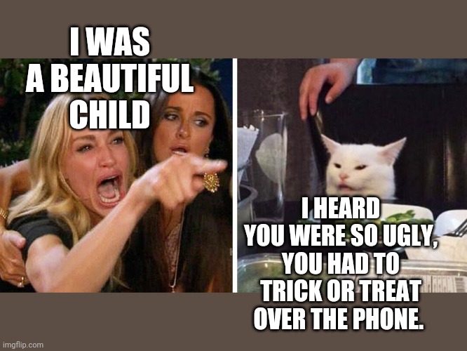 Smudge the cat | I WAS A BEAUTIFUL CHILD; I HEARD YOU WERE SO UGLY, YOU HAD TO TRICK OR TREAT OVER THE PHONE. | image tagged in smudge the cat | made w/ Imgflip meme maker