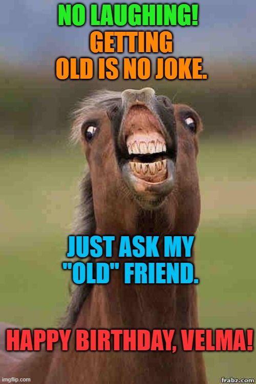 horse face | NO LAUGHING! GETTING OLD IS NO JOKE. JUST ASK MY "OLD" FRIEND. HAPPY BIRTHDAY, VELMA! | image tagged in horse face | made w/ Imgflip meme maker