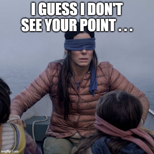 Bird Box Meme | I GUESS I DON'T SEE YOUR POINT . . . | image tagged in memes,bird box | made w/ Imgflip meme maker