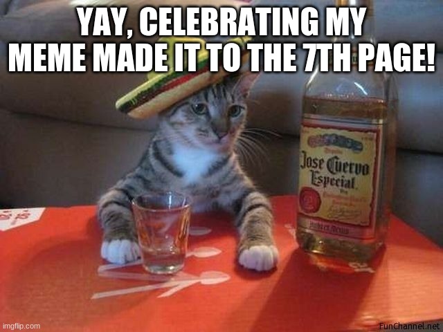 Party Cat | YAY, CELEBRATING MY MEME MADE IT TO THE 7TH PAGE! | image tagged in party cat | made w/ Imgflip meme maker