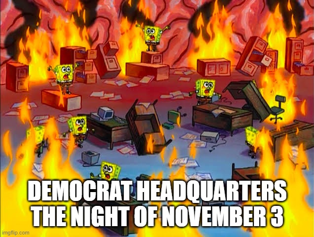 THE NIGHT OF NOVEMBER 3 image tagged in panicked spongebob brain,election 2...