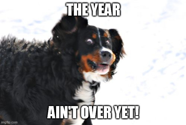 Crazy Dawg Meme | THE YEAR AIN'T OVER YET! | image tagged in memes,crazy dawg | made w/ Imgflip meme maker