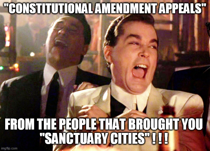 Good Fellas Hilarious Meme | "CONSTITUTIONAL AMENDMENT APPEALS" FROM THE PEOPLE THAT BROUGHT YOU 
"SANCTUARY CITIES" ! ! ! | image tagged in memes,good fellas hilarious | made w/ Imgflip meme maker