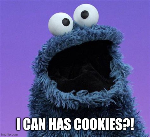 cookie monster | I CAN HAS COOKIES?! | image tagged in cookie monster | made w/ Imgflip meme maker