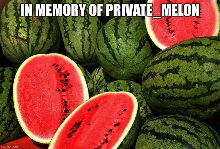 Watermelons | IN MEMORY OF PRIVATE_MELON | image tagged in watermelons | made w/ Imgflip meme maker
