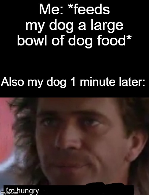 He's a hound soo... | Me: *feeds my dog a large bowl of dog food*; Also my dog 1 minute later: | image tagged in i'm hungry | made w/ Imgflip meme maker
