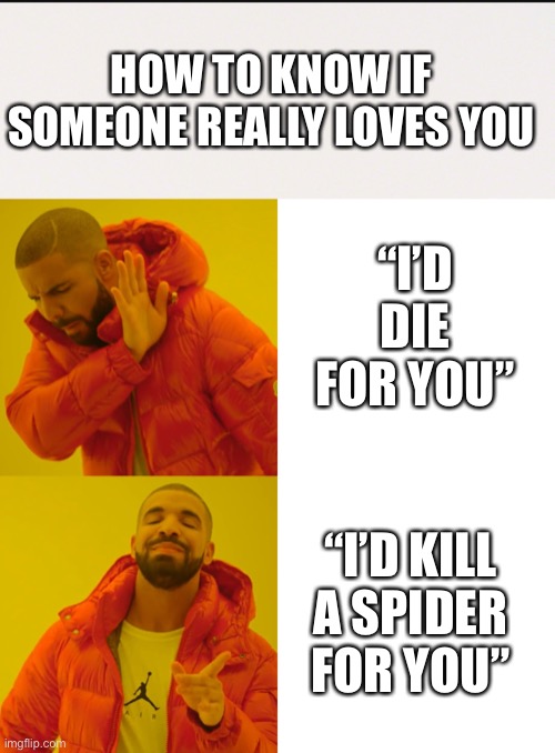 True love | HOW TO KNOW IF SOMEONE REALLY LOVES YOU; “I’D DIE FOR YOU”; “I’D KILL A SPIDER FOR YOU” | image tagged in memes,drake hotline bling,love,how to know,spider | made w/ Imgflip meme maker