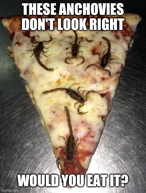 Pizza | THESE ANCHOVIES DON'T LOOK RIGHT; WOULD YOU EAT IT? | image tagged in pizza | made w/ Imgflip meme maker