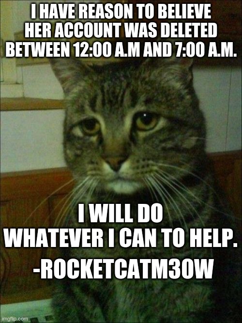 Melon was one of my only friends. | I HAVE REASON TO BELIEVE HER ACCOUNT WAS DELETED BETWEEN 12:00 A.M AND 7:00 A.M. I WILL DO WHATEVER I CAN TO HELP. -ROCKETCATM30W | image tagged in memes,depressed cat | made w/ Imgflip meme maker
