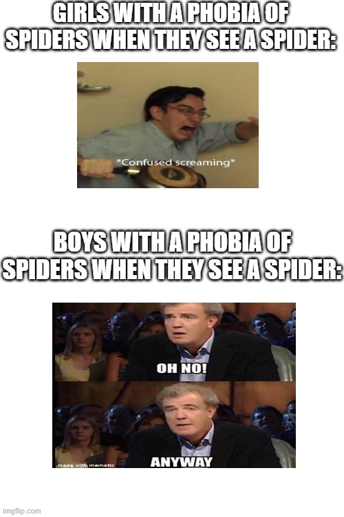 I am not scared of spiders, so my reaction falls somewhere in the middle | GIRLS WITH A PHOBIA OF SPIDERS WHEN THEY SEE A SPIDER:; BOYS WITH A PHOBIA OF SPIDERS WHEN THEY SEE A SPIDER: | image tagged in blank white template | made w/ Imgflip meme maker