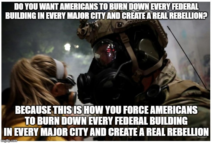 Do you want Americans to burn down every federal building in every major city and create a real rebellion? | DO YOU WANT AMERICANS TO BURN DOWN EVERY FEDERAL BUILDING IN EVERY MAJOR CITY AND CREATE A REAL REBELLION? BECAUSE THIS IS HOW YOU FORCE AMERICANS TO BURN DOWN EVERY FEDERAL BUILDING IN EVERY MAJOR CITY AND CREATE A REAL REBELLION | image tagged in mom v stormtrooper | made w/ Imgflip meme maker