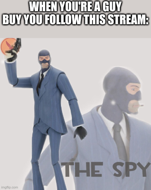 If you want me to leave cuz I'm a guy that's fine | WHEN YOU'RE A GUY BUY YOU FOLLOW THIS STREAM: | image tagged in meet the spy | made w/ Imgflip meme maker