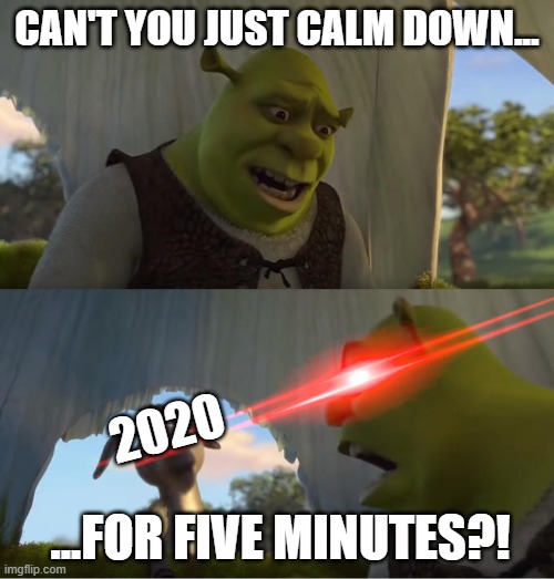 Calm the F*** down! | CAN'T YOU JUST CALM DOWN... 2020; ...FOR FIVE MINUTES?! | image tagged in shrek for five minutes,2020 | made w/ Imgflip meme maker